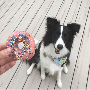 Meet your Posher, Peggy